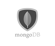 mongo db developer